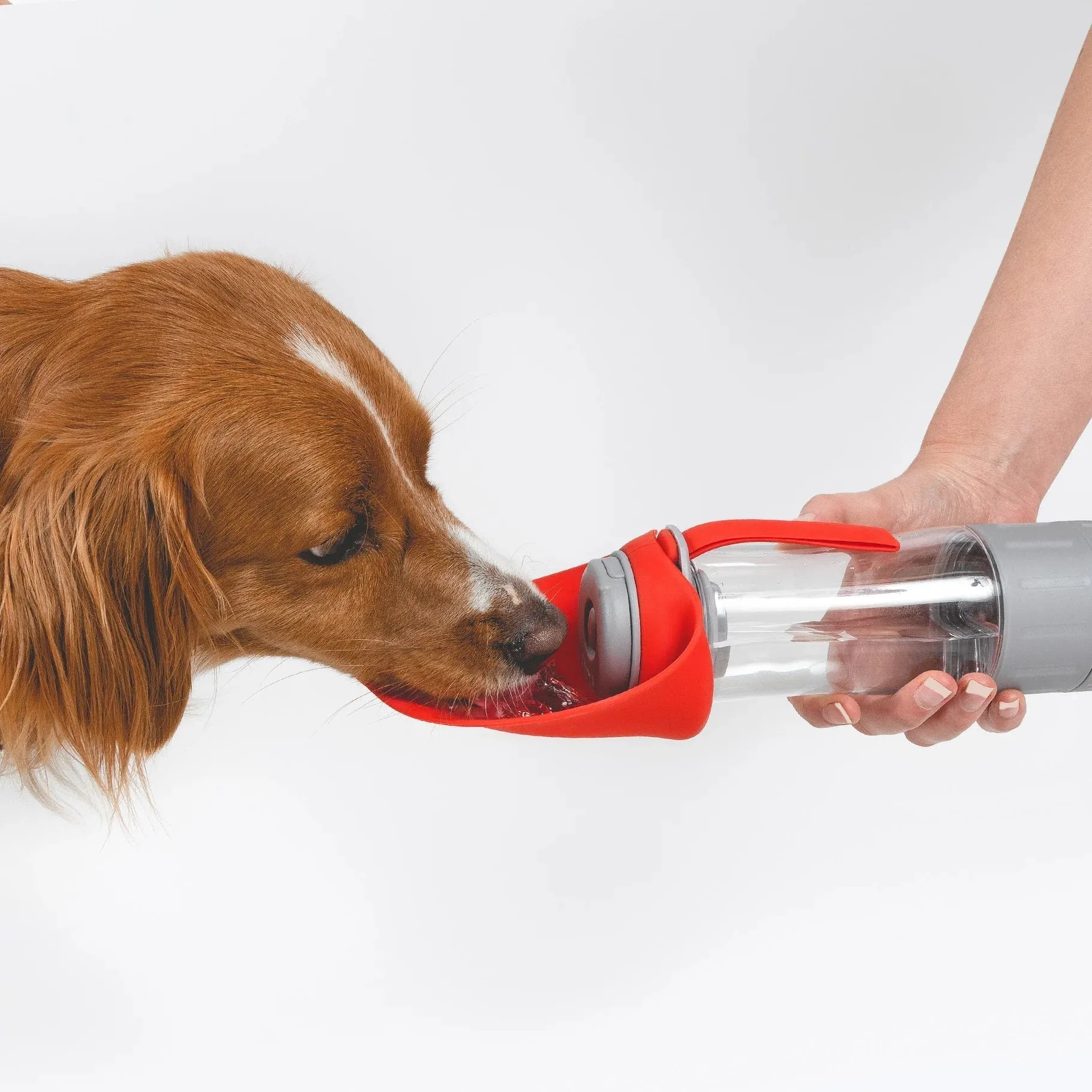 EzyDog Leaf Water Bottle Pro with Food Storage 350mL {)_(}