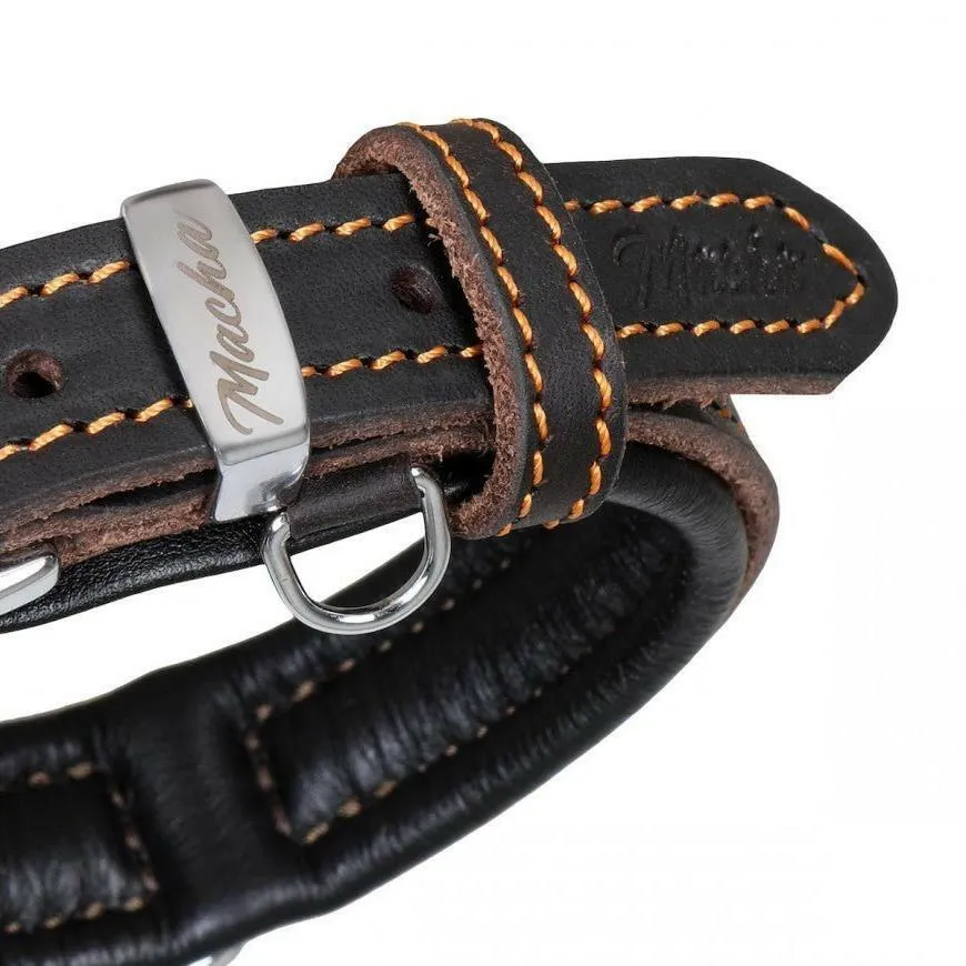 Latigo Leather Dog Collar – Oily Series (Limited Edition)